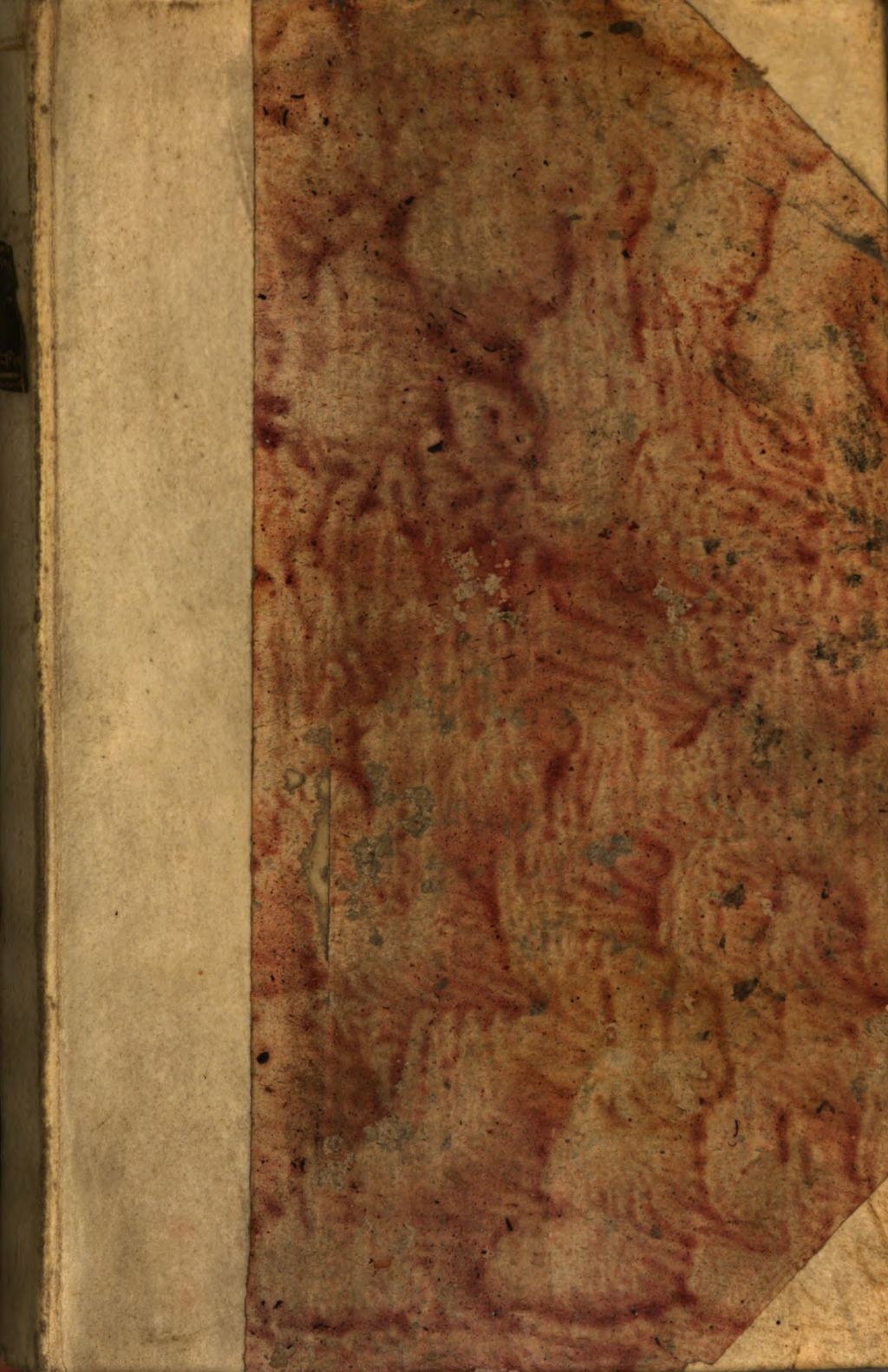 Cover of Eduardi Leighii, Artium in utraque Universitate Oxoniensi ac Cantabrigiensi Magistri, In Universum Novum Testamentum Annotationes Philologicae & Theologiae