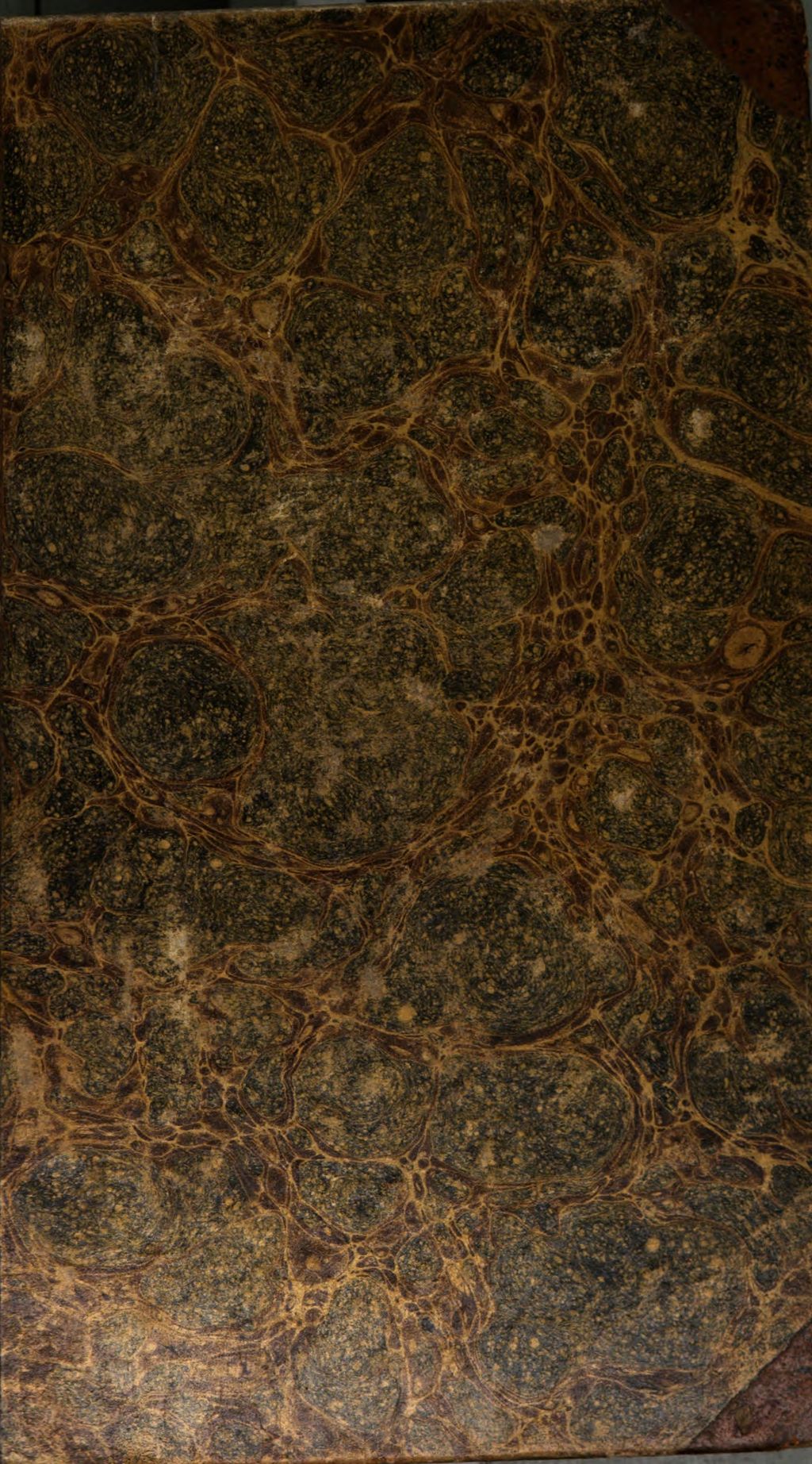 Cover of Braminen und Rabbinen oder: Indien das Stammland der Hebräer und ihrer Fabeln