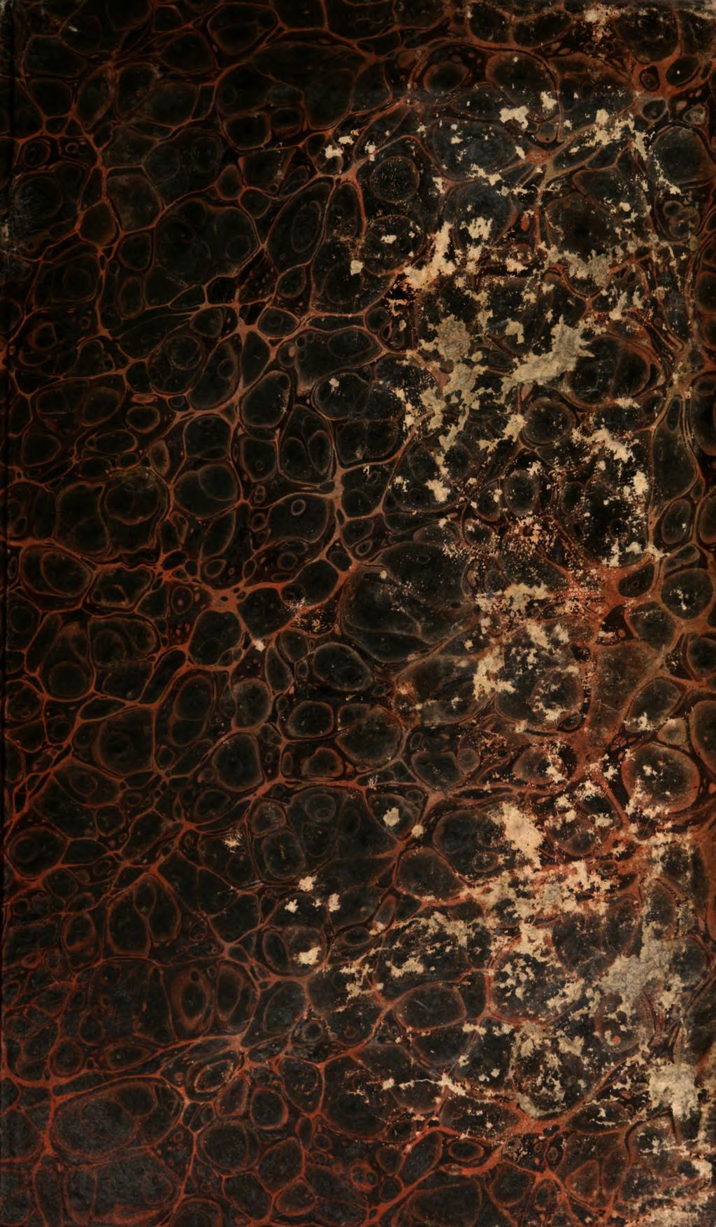 Cover of Würdigung der Einwürfe gegen die alttestamentlichen Weissagungen an dem Orakel des Jesaia über den Untergang Babels, C. 13 - 14, 23