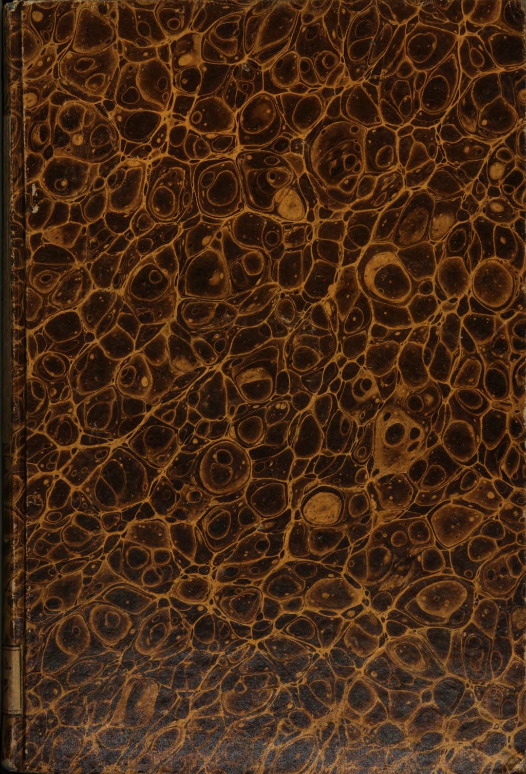 Cover of Hieroglyphen und Buchstaben