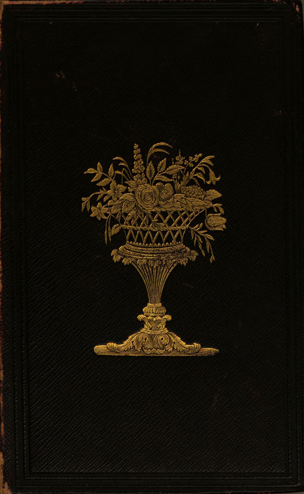Cover of The women of England