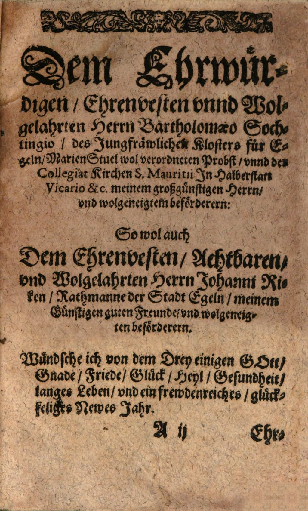 Cover of Entdeckte Mummenschantze oder Nebelkappen
