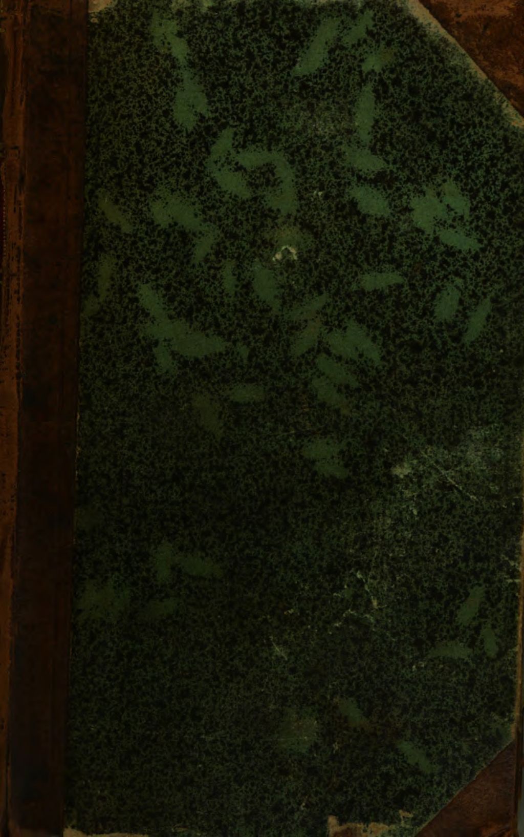 Cover of Die Grundzüge des gegenwärtigen Zeitalters