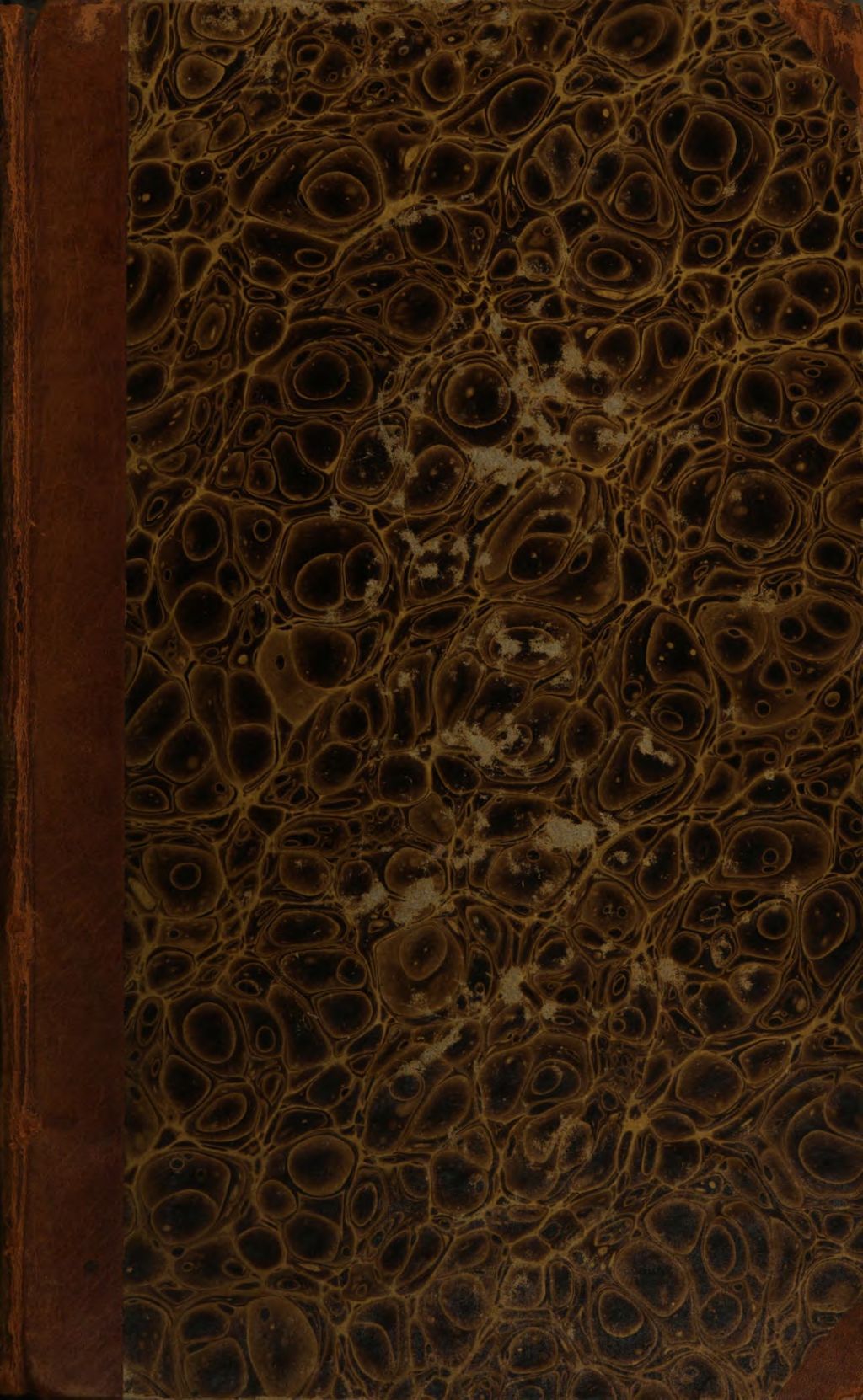 Cover of Geschichte des Glaubens an Unsterblichkeit, Auferstehung, Gericht und Vergeltung. 2