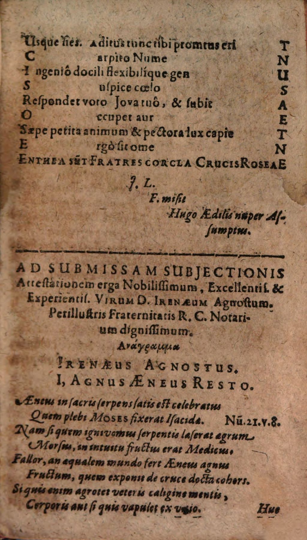 Cover of Tintinabulum Sophorum Oder Fernere, gründliche entdeckung der gotseligen gesegneten Brüderschafft deß löblichen Ordens deß Rosencreutzes