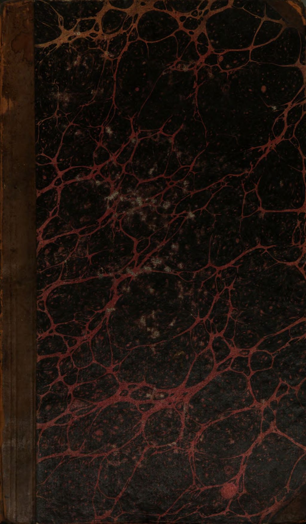 Cover of Fides oder die Religionen und Culte der bekanntesten Völker der Erde alter und neuer Zeit. 2