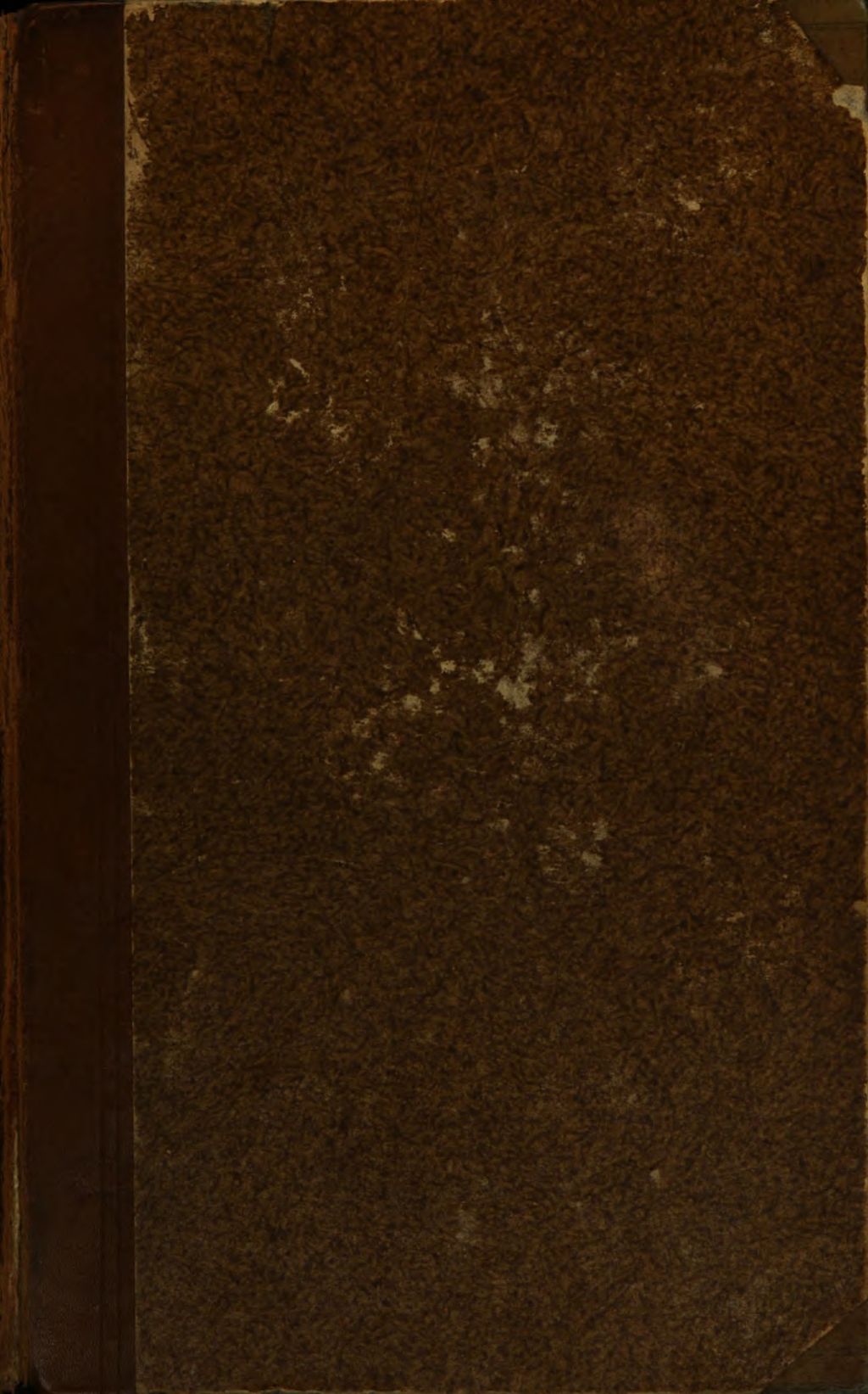 Cover of Die Geschichte der Gesellschaft in ihren neueren Entwickelungen und Problemen