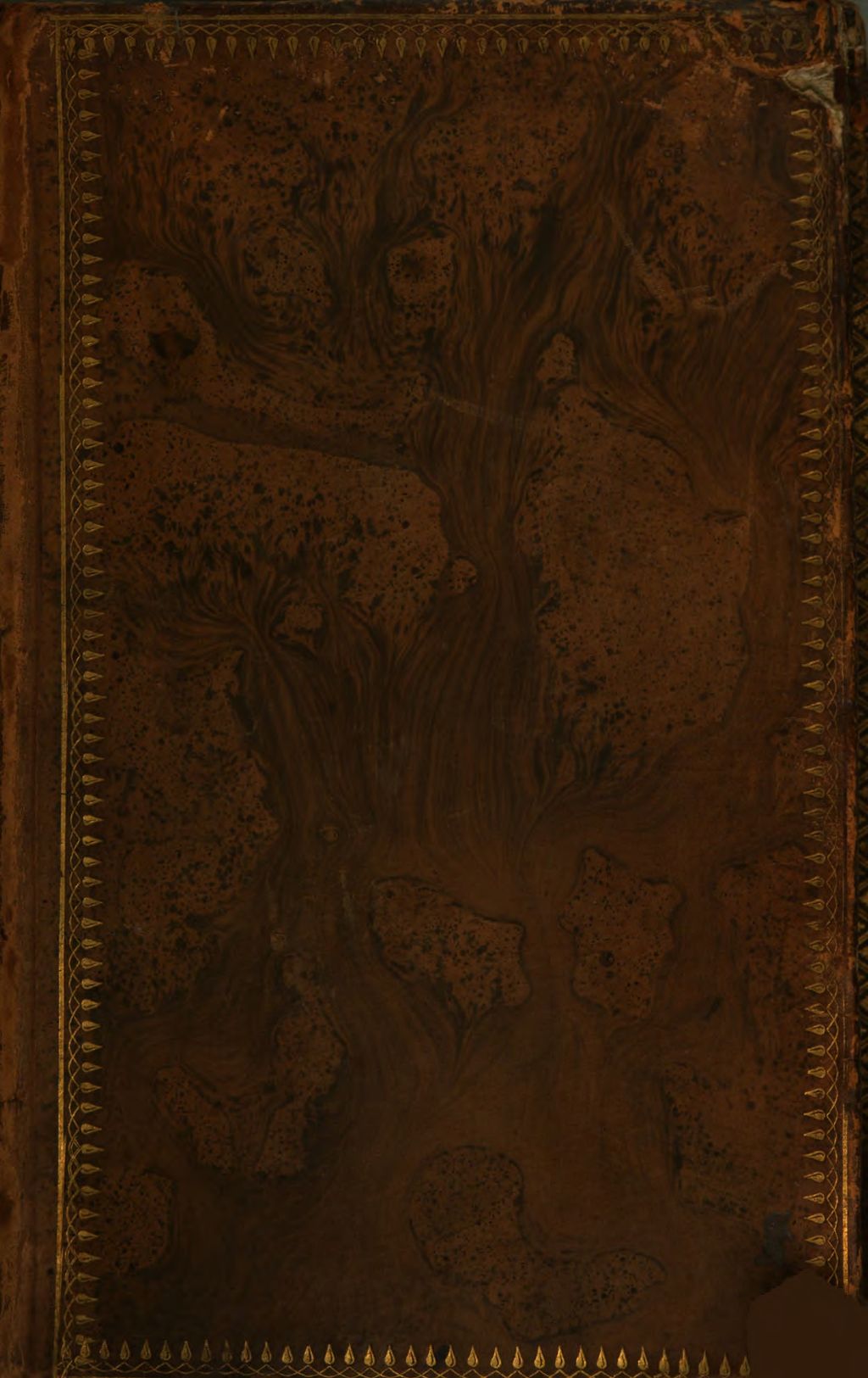 Cover of Dictionnaire de la fable ou mythologie grecque, latine, égyptienne, celtique, persane, syriaque, indienne, chinoise, mahométane, rabbinique, slavonne, scandinave, africaine, américaine iconologique, cabalistique etc.. 2
