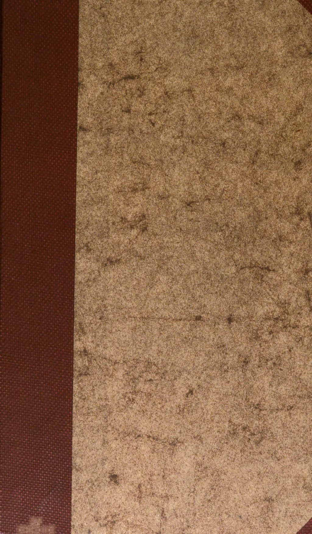 Cover of Rituale Nupturientium, oder: Beschreibung der Hochzeit-Gebräuche, Welche unter den bekantesten Völckern, Christen, Juden und Heyden, in allen Theilen der Welt, von alters her beobachtet worden, auch zum Theil noch üblich sind