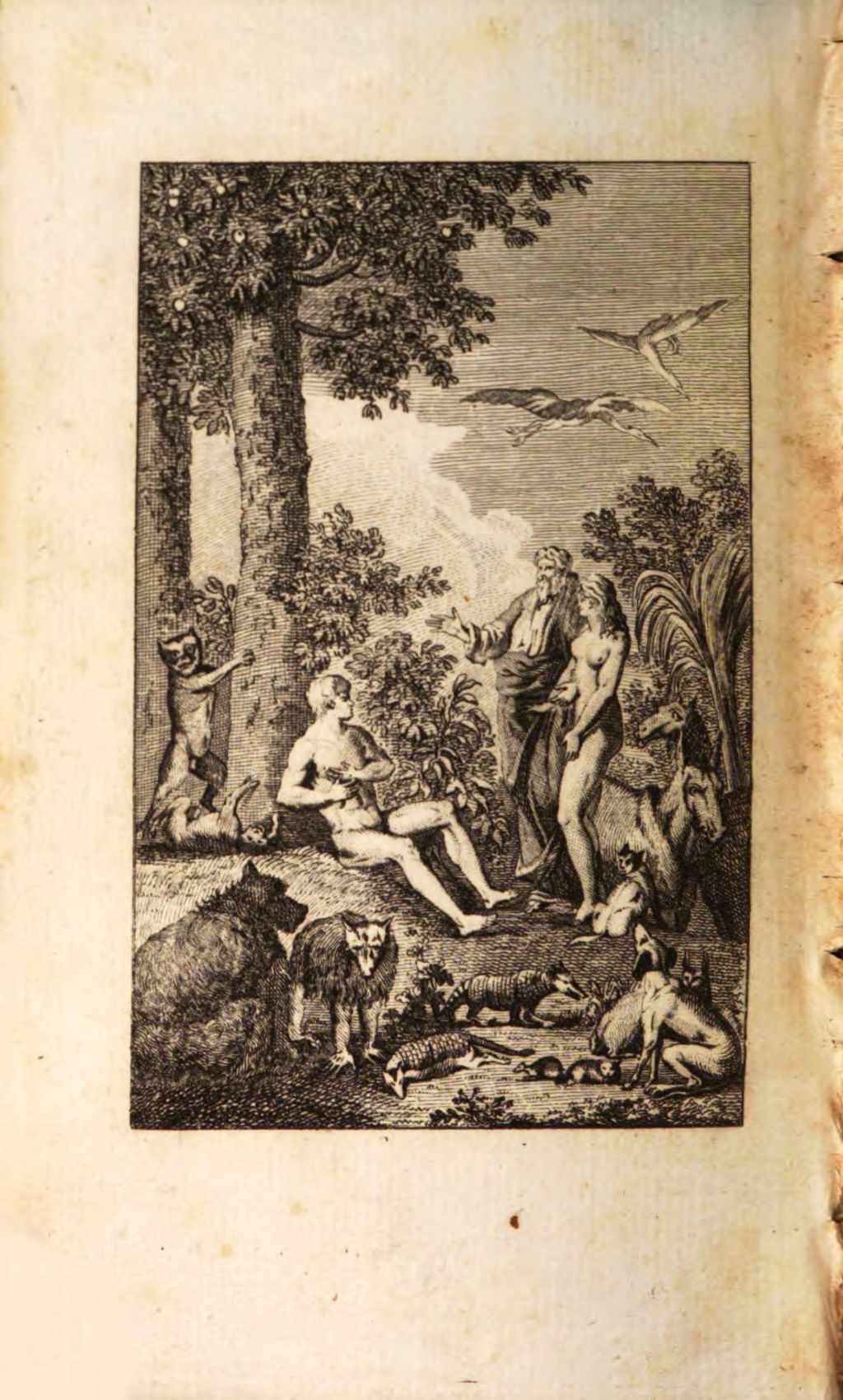 Cover of Recueil précieux de la maçonerie adonhiramite. 3, La Vraie maçonnerie d'adoption