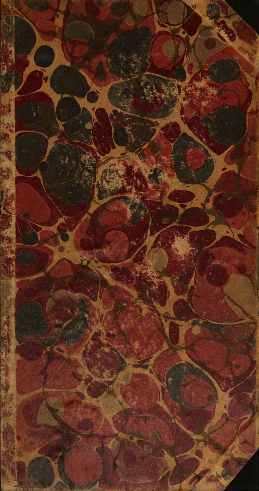 Cover of Vies des dames galantes
