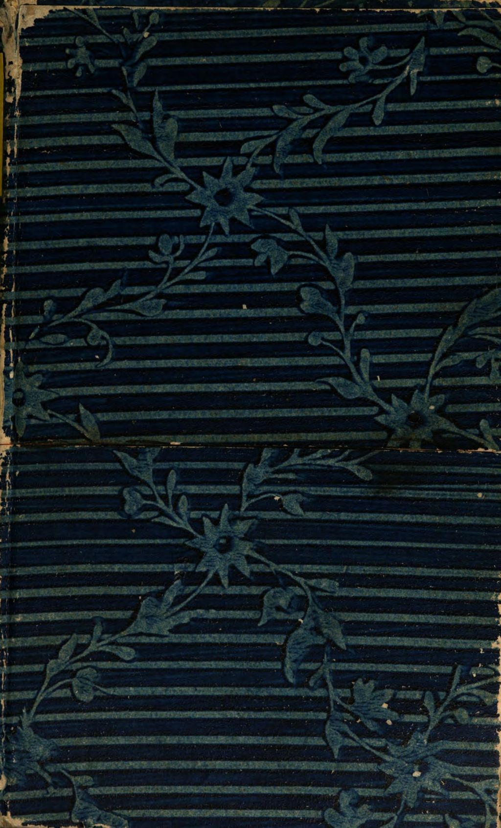 Cover of Geschichte derer Amazonen