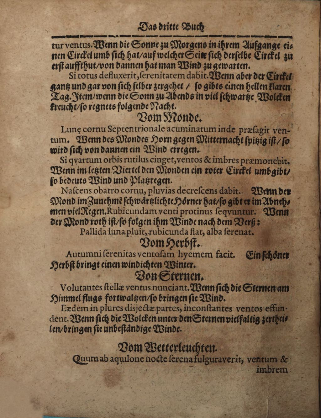 Cover of Wolffgangi Hildebrands new augirte, weitverbesserte und vielvermehrte Magia Naturalis: Das ist Künst und Wünderbüch. 3, Darinne[n] begriffen, wie man nemlich mit etlichen Gattungen Bäumen, Gewächsen, Pflantzungen un[d] andern, [et]c. wunderbarliche Sachen verrichten, zu löblicher unnd lustiger Ubung