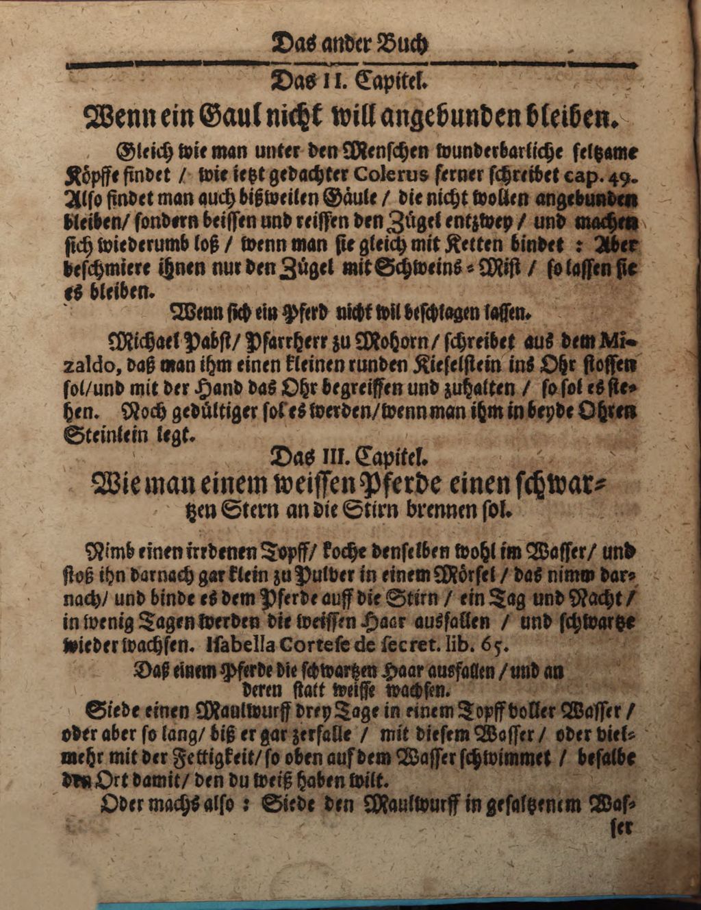 Cover of Wolffgangi Hildebrands new augirte, weitverbesserte und vielvermehrte Magia Naturalis: Das ist Künst und Wünderbüch. 2, Darinne[n] begriffen und gehandelt wird, was man nemlich mit andern Creaturen, als zahmen und wilden Thieren, Vogeln, Fischen, Ungezieffern, so auff Erden gehen, kriechen, in der Lufft schweben oder fliegen