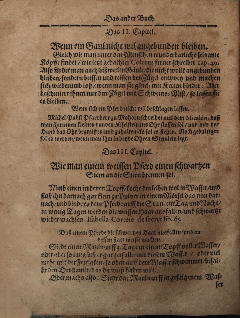 Cover of Wolffgangi Hildebrands new augirte, weitverbesserte und vielvermehrte Magia Naturalis: Das ist Künst und Wünderbüch. 2, Darinne[n] begriffen und gehandelt wird, was man nemlich mit andern Creaturen, als zahmen und wilden Thieren, Vogeln, Fischen, Ungezieffern, so auff Erden gehen, krichen, in der Lufft schweben oder fliegen ... für Kunststücke und Wunderwercke verrichten und zu wege bringen kan