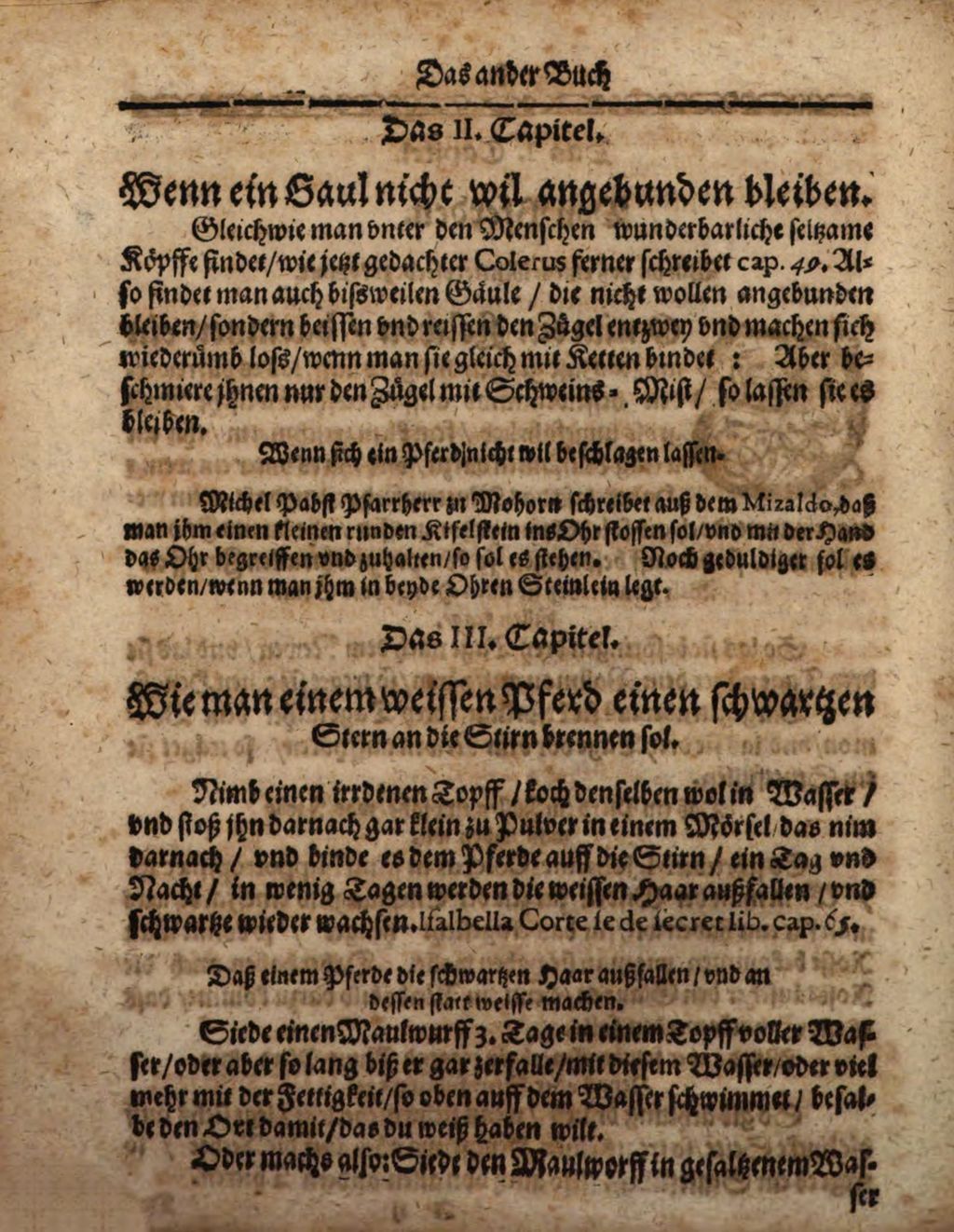 Cover of Wolffgangi Hildebrands new augirte, weitverbesserte und vielvermehrte Magia Naturalis: Das ist Künst und Wünderbüch. 2, Darinne[n] begriffen und gehandelt wird, was man nemlich mit andern Creaturen, als zamen und wilden Thieren, Vogeln, Fischen, Ungezieffern, so auff Erden gehen, kriechen, in der Lufft schweben oder fliegen ... zu wege bringen kan
