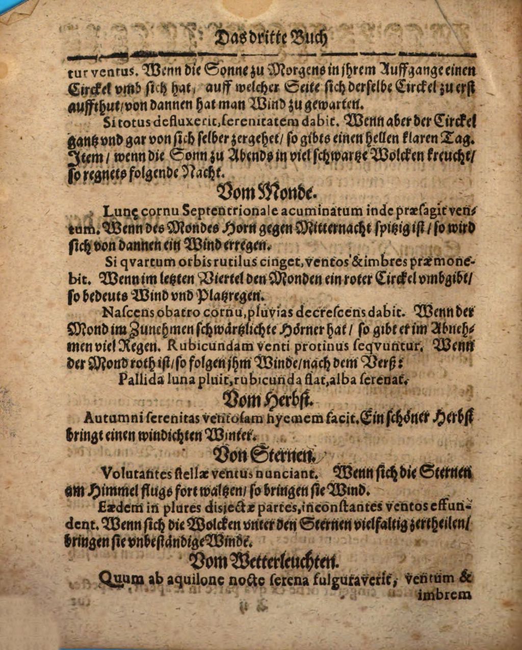 Cover of Wolffgangi Hildebrands new augirte, weitverbesserte und vielvermehrte Magia Naturalis: Das ist Künst und Wünderbüch. 3, Darinne[n] begriffen, wie man nemlich mit etlichen Gattungen Bäumen, Gewächsen, Pflantzungen und andern, etc. wunderbarliche Sachen verrichten, ... auch damit die Zeit vertreiben kan