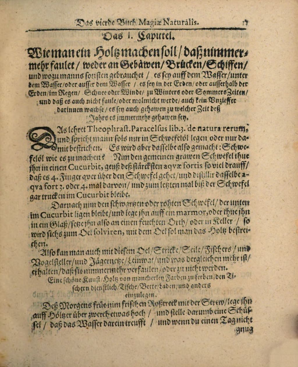 Cover of Wolffgangi Hildebrands new augirte, weitverbesserte und vielvermehrte Magia Naturalis: Das ist Künst und Wünderbüch. 4, Darinne[n] begriffen, wie mann nemblich mit mancher Hand andern Sachen, sonderlich mehrentheils denen vier Elementen, und deren zugehörigen Dingen, auch etliche Wunderschrifften bereiten, ... kan