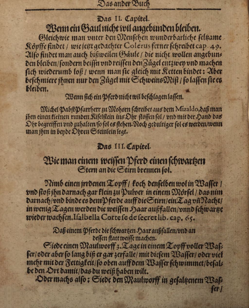 Cover of Wolffgangi Hildebrands new augirte, weitverbesserte und vielvermehrte Magia Naturalis: Das ist Künst und Wünderbüch. 2, Darinne[n] begriffen unnd gehandelt wird, was man nemlich mit andern Creaturen, als zamen unnd wilden Thieren, Vogeln, Fischen, Ungezieffern, so auff Erden gehen, ... für Kunststücke und Wunderwercke verrichten und zu wege bringen kan