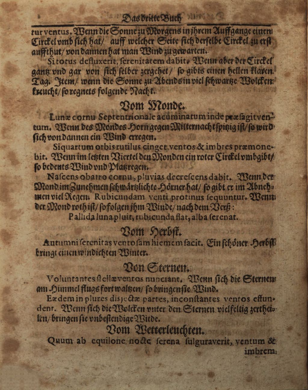 Cover of Wolffgangi Hildebrands new augirte, weitverbesserte und vielvermehrte Magia Naturalis: Das ist Künst und Wünderbüch. 3, Darinne[n] begriffen, wie man nemlich mit etlichen Gattungen Bäumen, Gewächsen, Pflantzungen und andern etc. wunderbarliche Sachen verrichten, zu ... gebrauchen