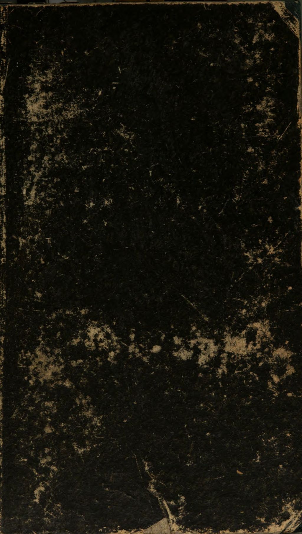 Cover of Reineke Fuchs in Afrika