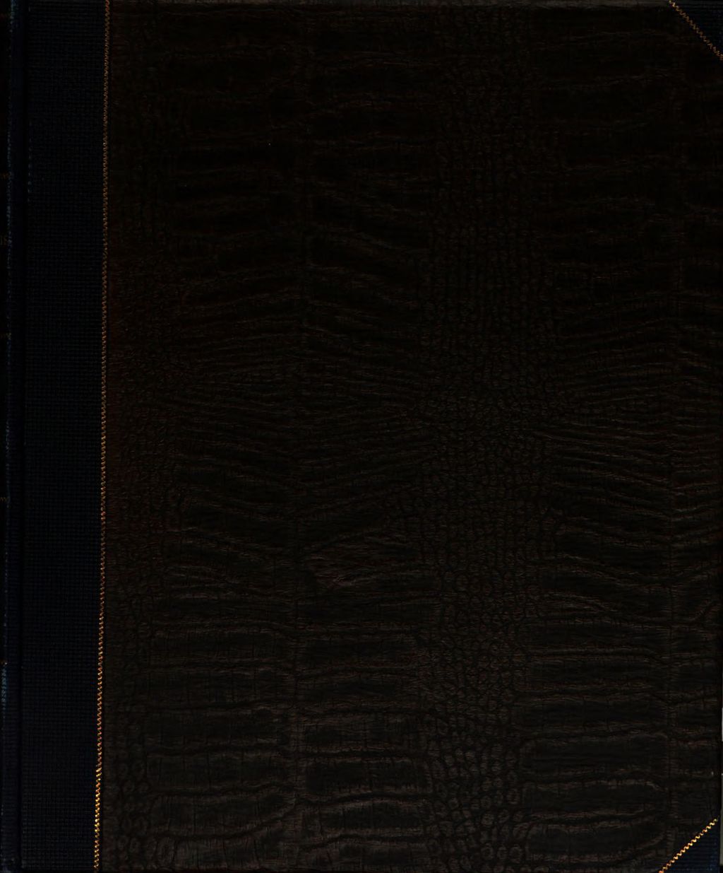 Cover of Die harmonikale Symbolik des Alterthums. 1, Die esoterische Zahlenlehre und Harmonik der Pythagoreer in ihren Beziehungen zu älteren griechischen und morgenländischen Quellen insbesondere zur altsemitisch-hebräischen Überlieferung