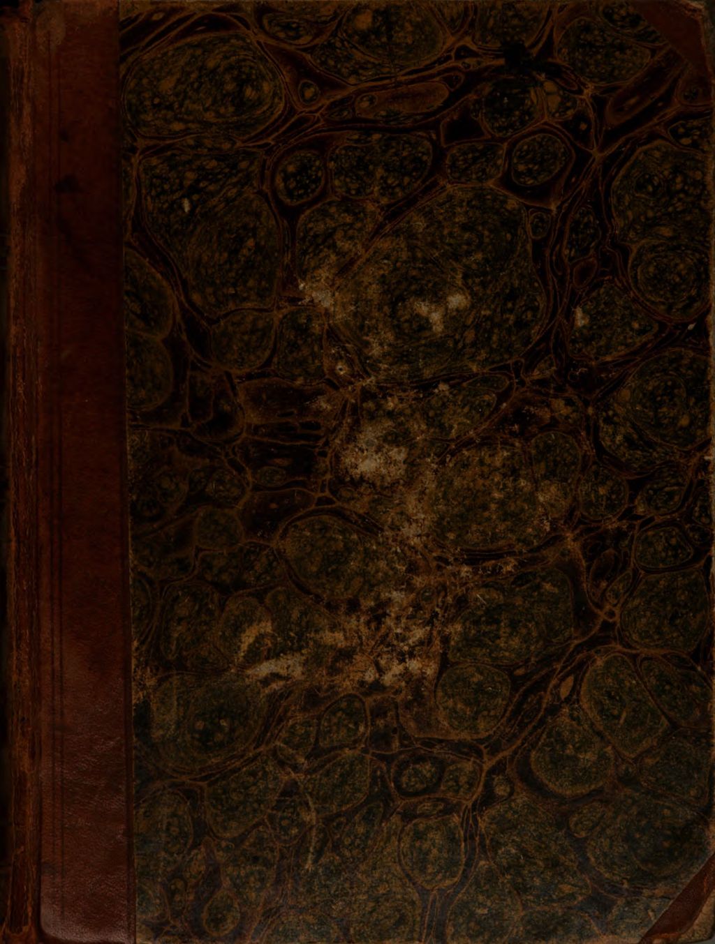 Cover of Wörterbuch der englischen und deutschen Sprache