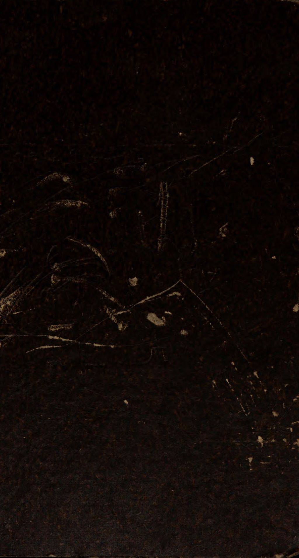 Cover of Rituale Augustanum minus, ad normam ritualis romani pro usu manuali quotidiano noviter in lucem emissum jussu et auctoritate