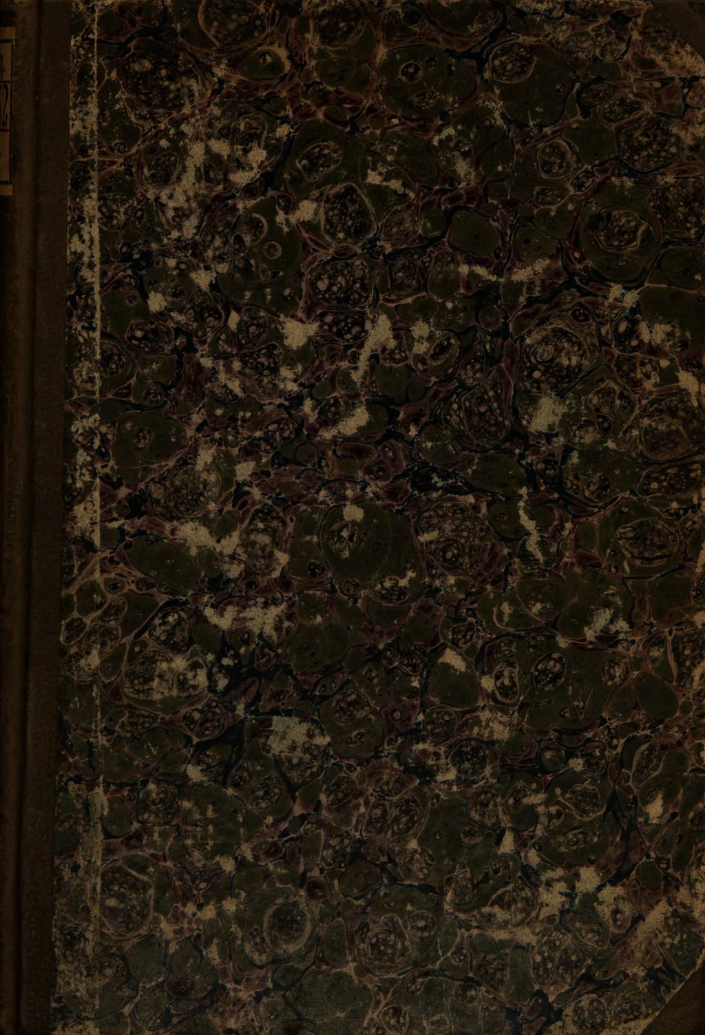 Cover of Die Schönheiten des katholischen Kultus