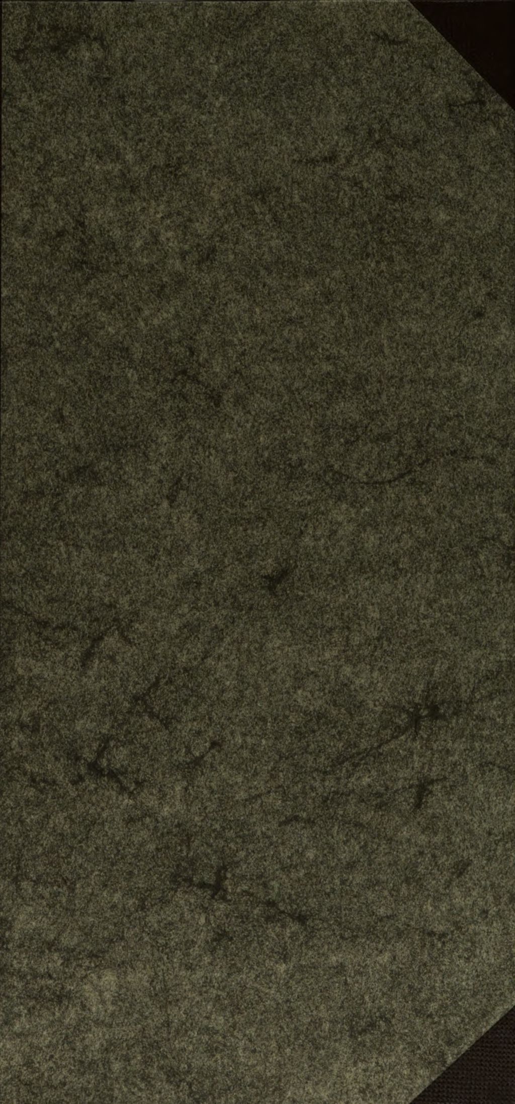 Cover of Lehrbuch der griechischen und römischen Mythologie für höhere Mädchenschulen und die Gebildeteren weiblichen Geschlechts
