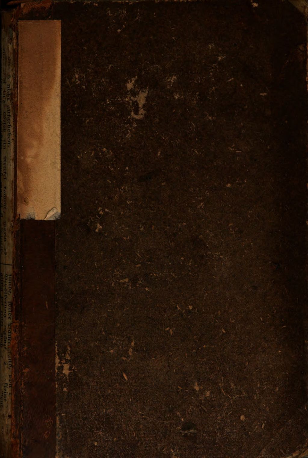 Cover of Fanny Ford und Ruth Hall