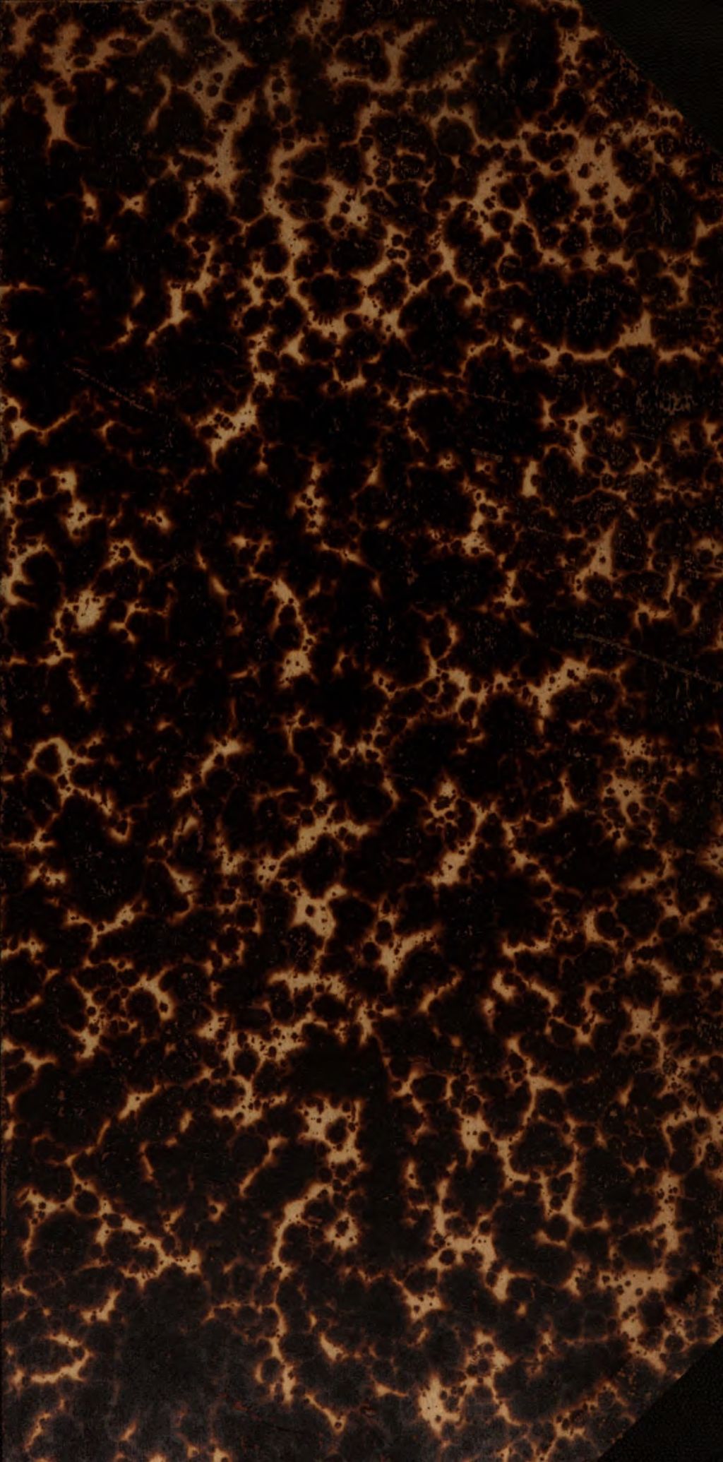 Cover of Lebensbilder in Licht und Schatten