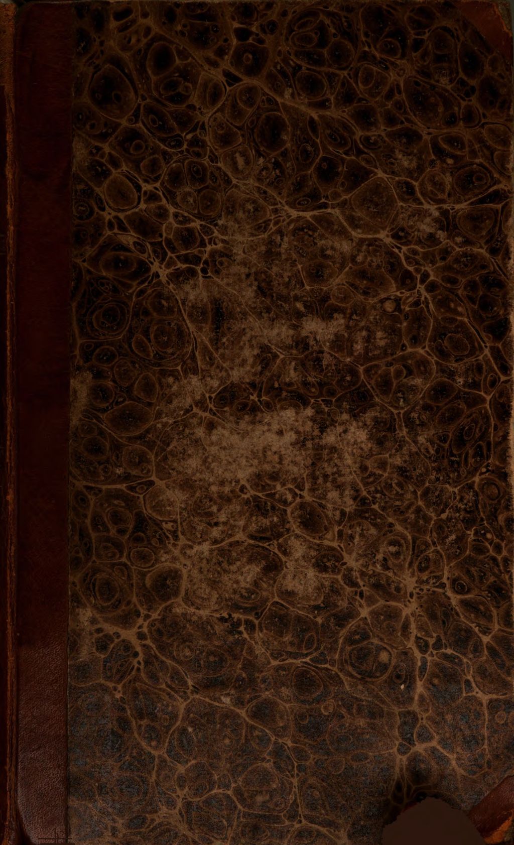 Cover of Neue Untersuchungen der Lehrgegensätze zwischen den Katholiken und Protestanten