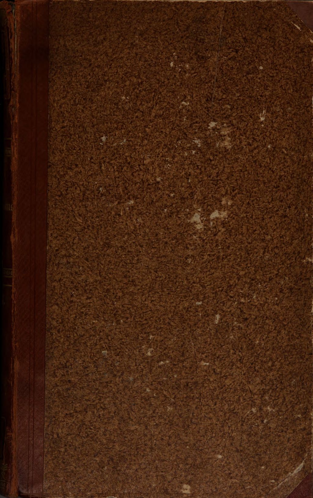 Cover of Die Zukunft des Christenthums