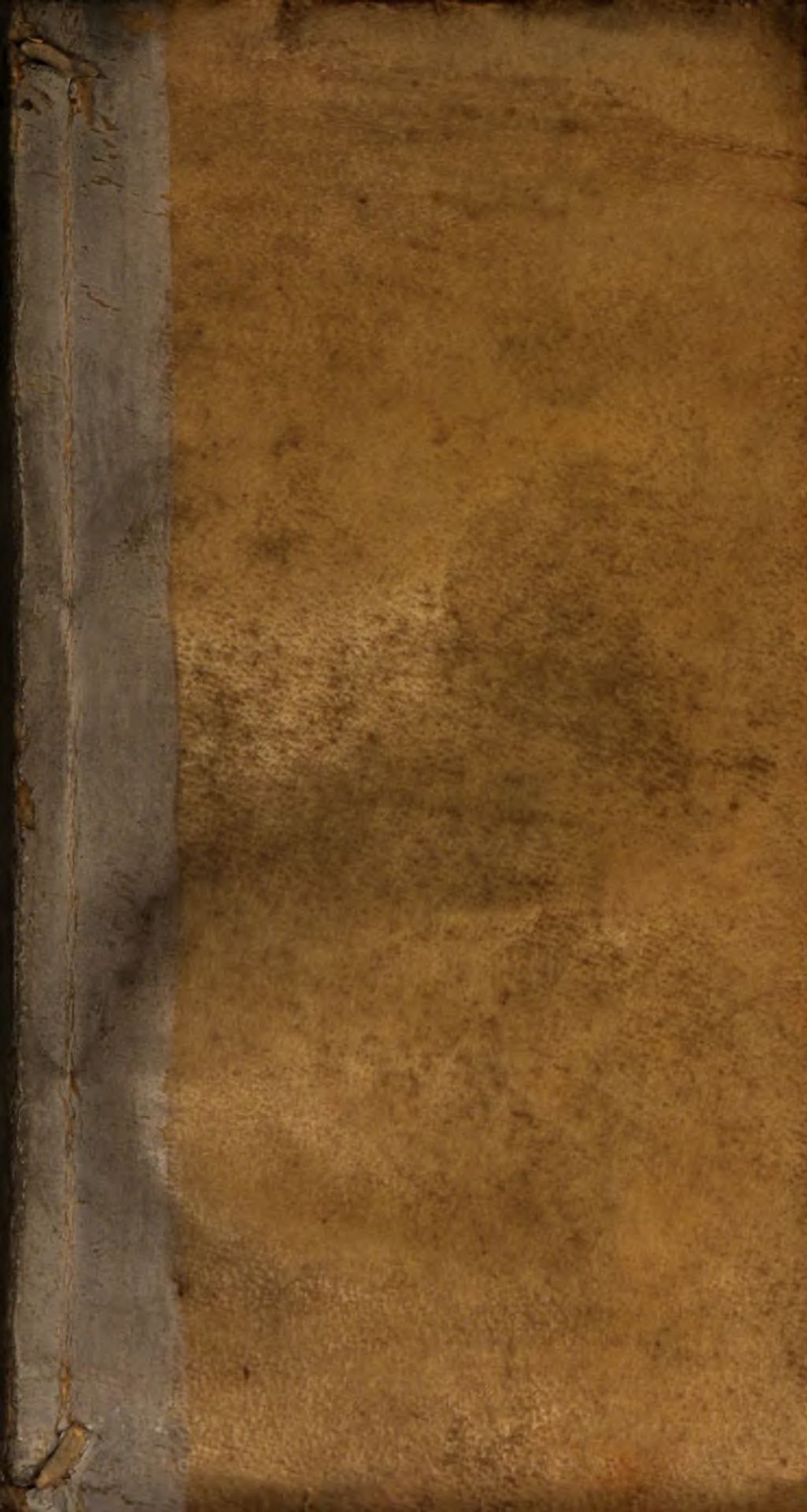 Cover of Summa quadripartita quaestionum philosophicarum. P. IV, ... metaphysica