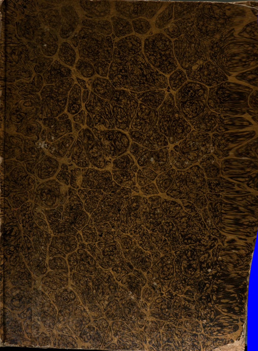 Cover of Astrologia Gallica