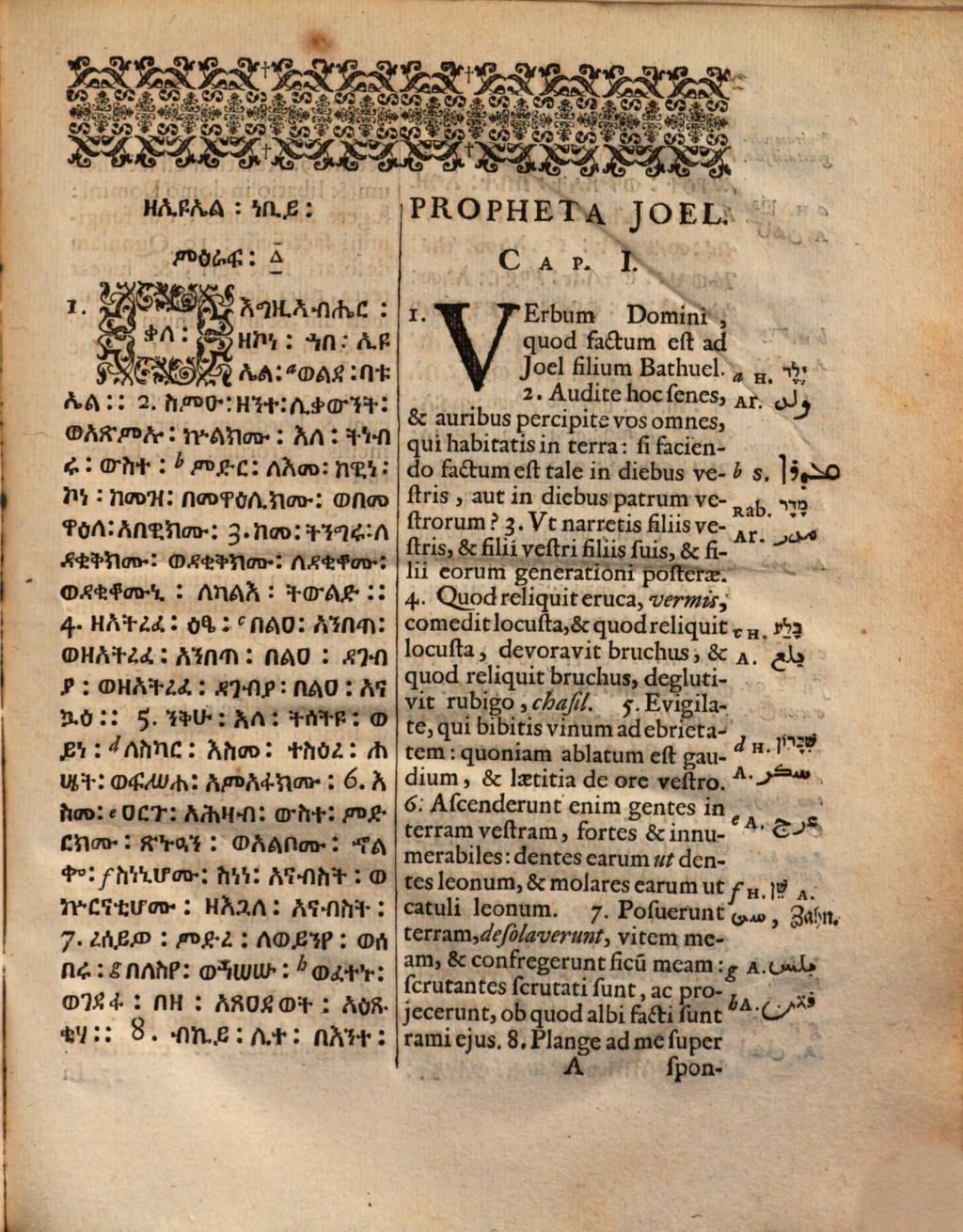Cover of Prophetia Joel