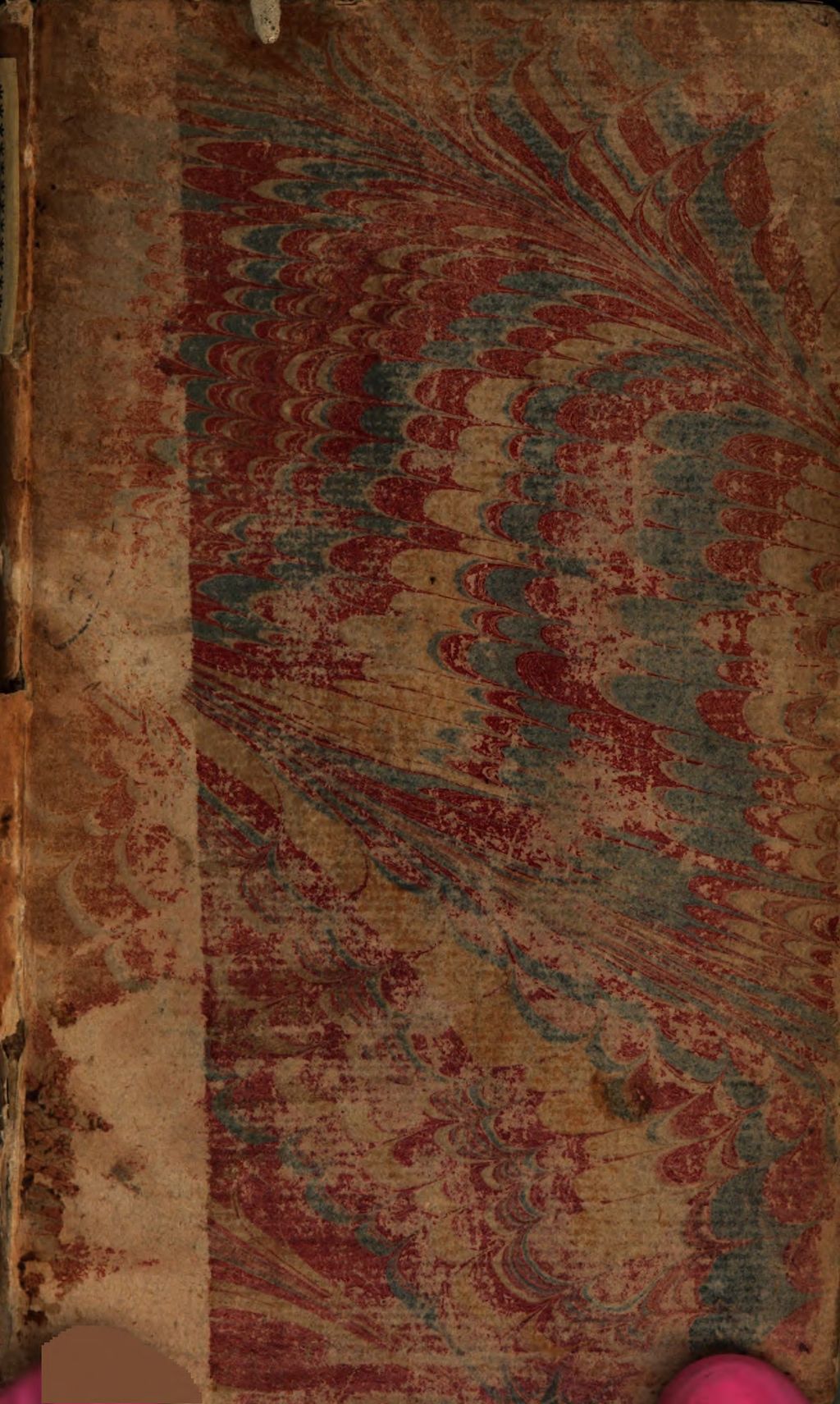 Cover of Taeda Trifida Chymica, Das ist: Dreyfache Chimische Fackel, Den wahren Weg zu der edlen Chimi-Kunst bescheinend