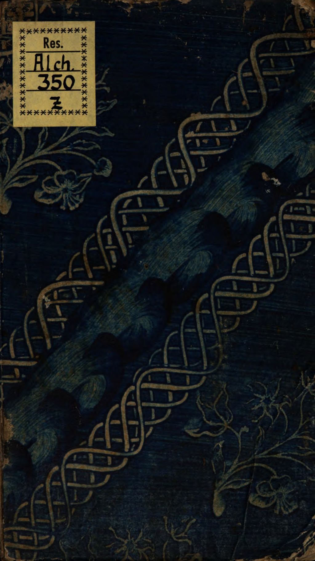 Cover of Fontina Bernhardi revelata