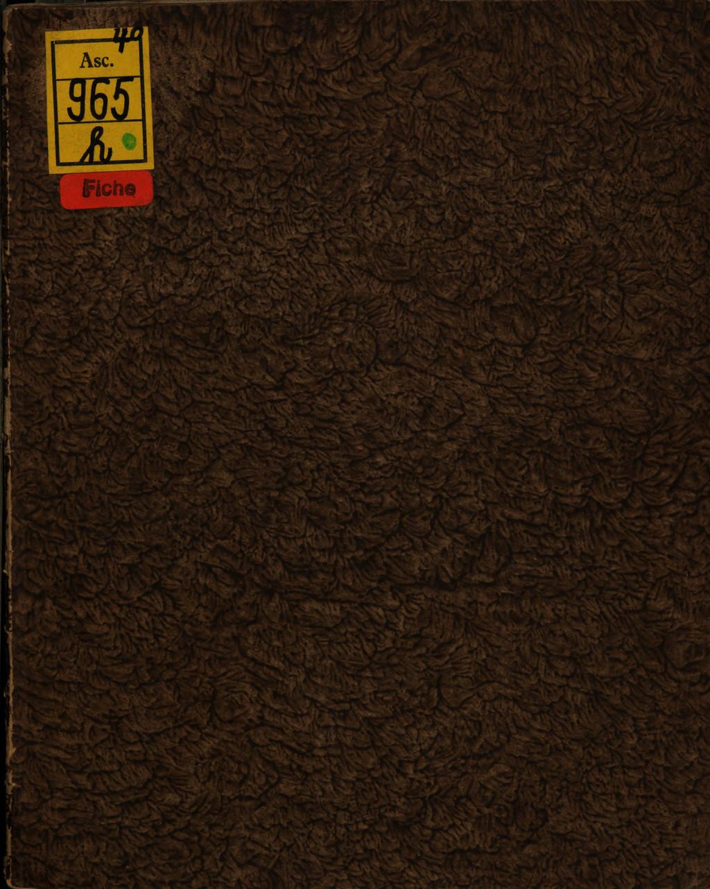 Cover of Den leydenden Christglaubigen weybern der gemain zu Kentzingen meinen mit schwestern in Christo Jhesu zu handen