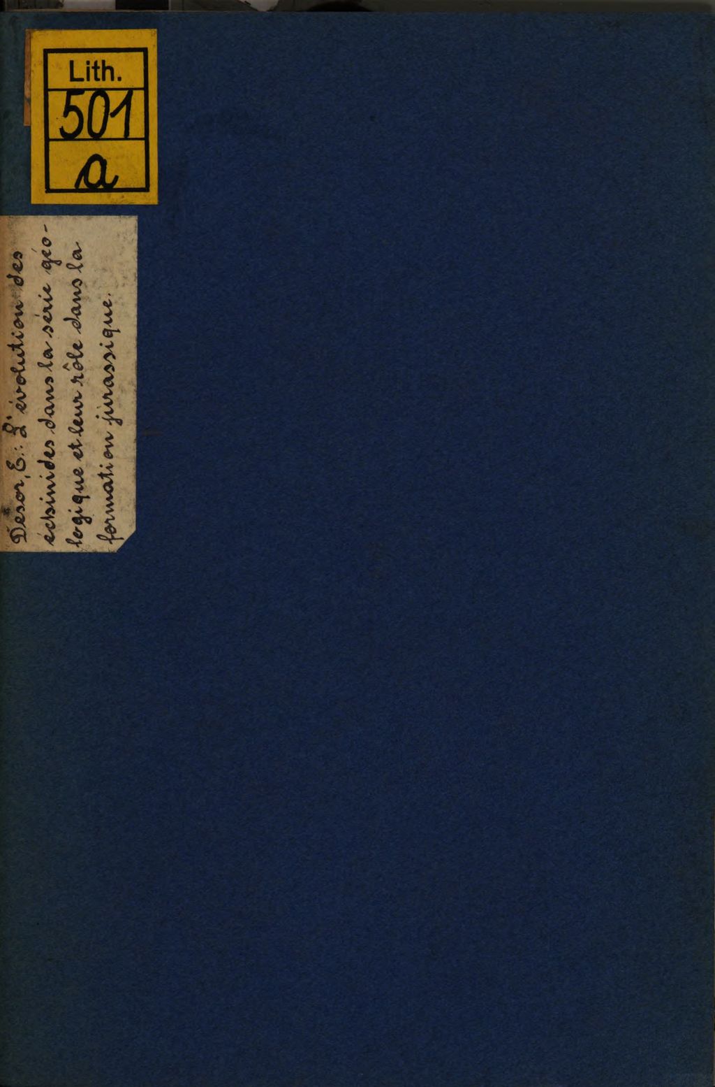 Cover of L‛ évolution des échinides dans la série géologique et leur rôle dans la formation jurassique