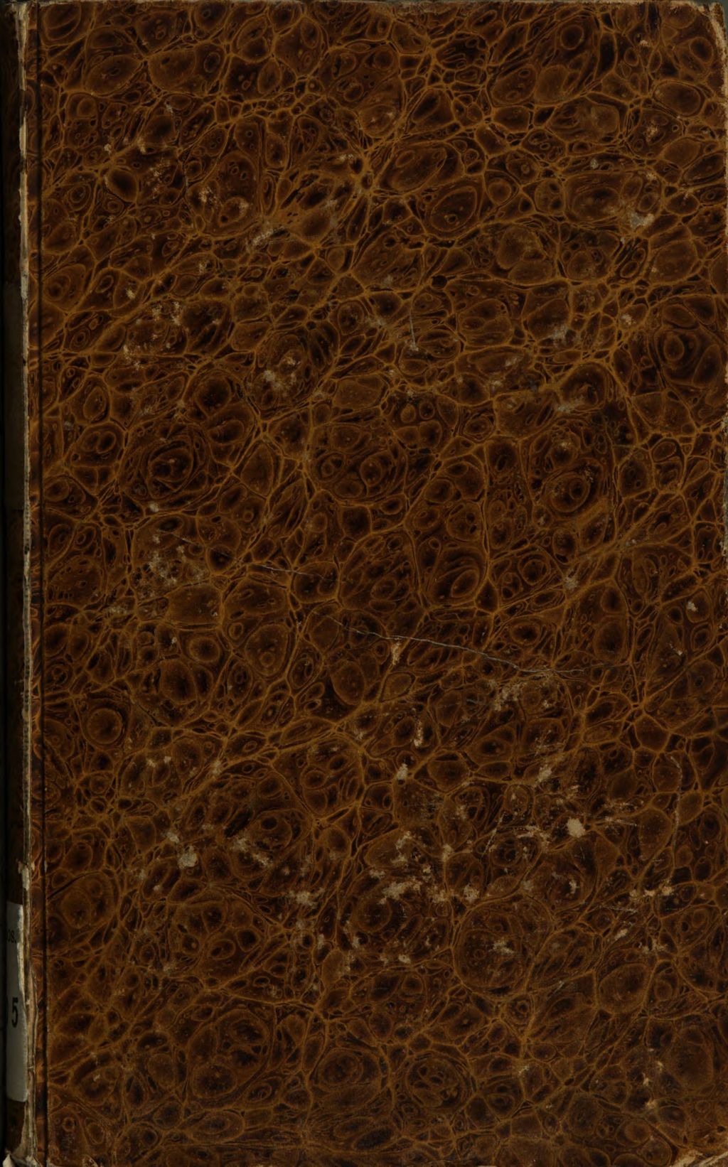 Cover of Die Weissagungen des Mönchs Hermann zu Lehnin