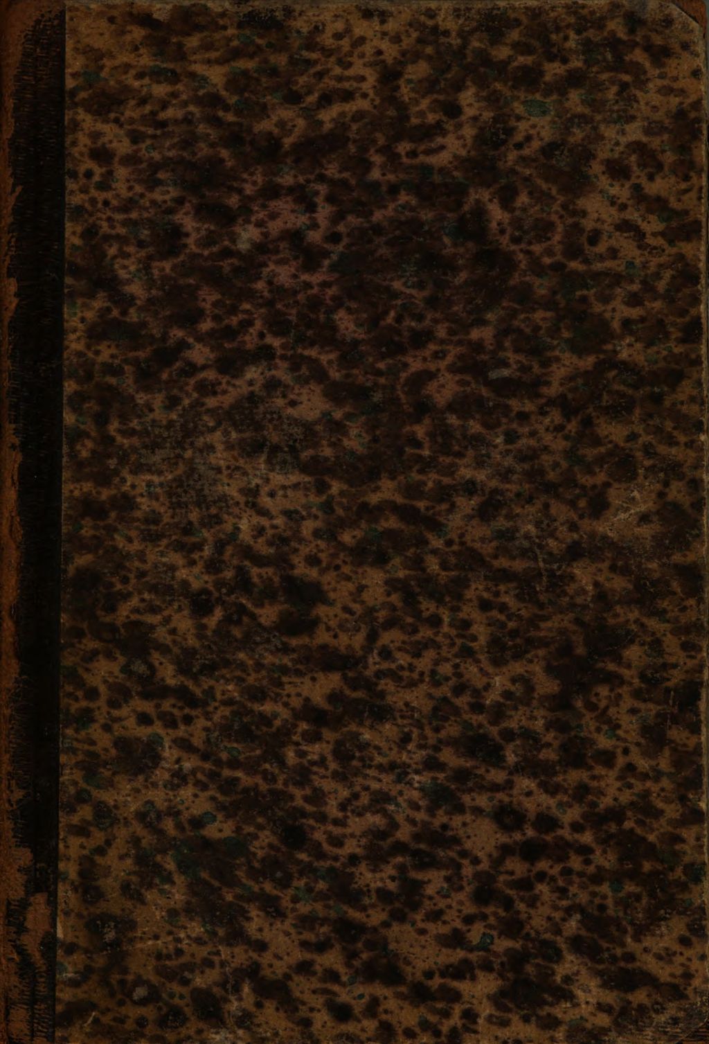 Cover of Diesseits und Jenseits der Cordilleren