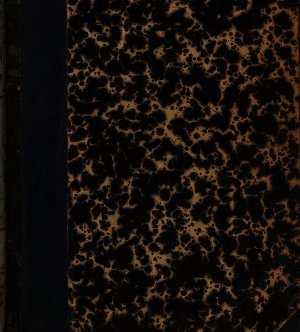 Cover of Die Clarinette als Talisman