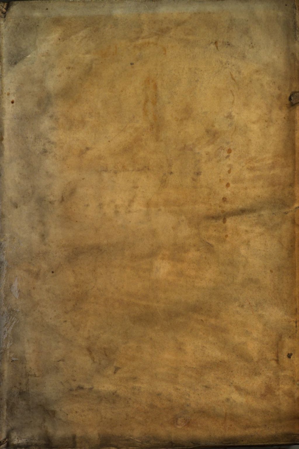 Cover of Divi Cyrilli Alexandriae Episcopi Commentariorum in Hesaiam Prophetam libri quinque