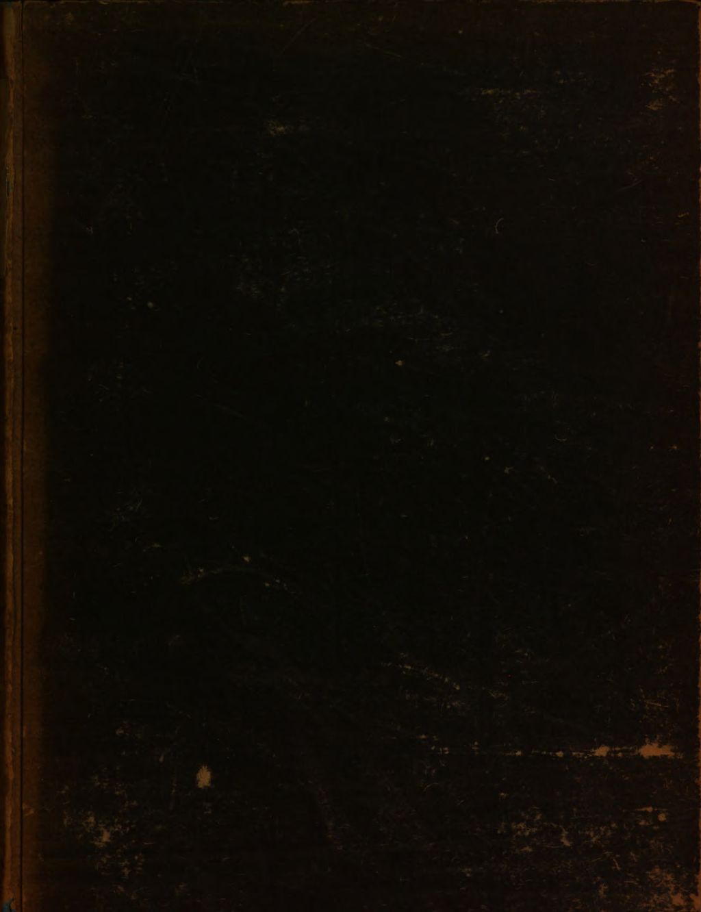 Cover of Die Emeis