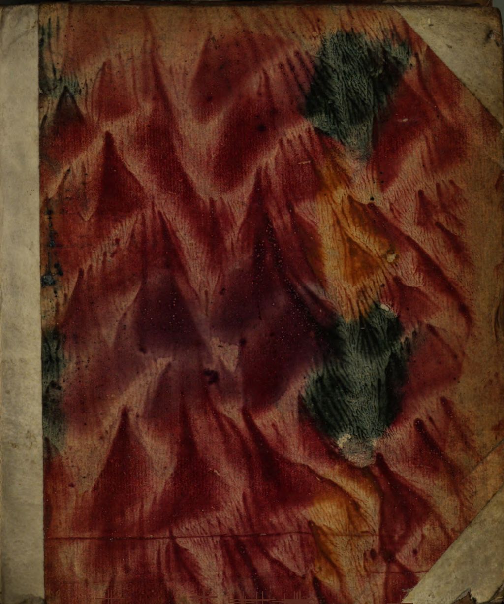 Cover of Sacrarvm Observationvm Liber Singularis
