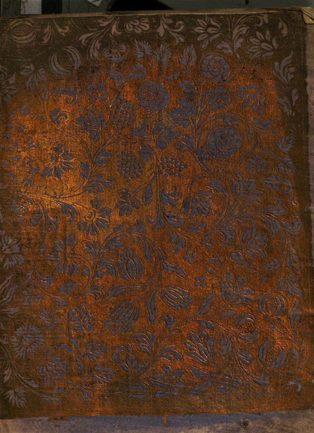 Cover of Positiones Ex Logica Et Metaphysica