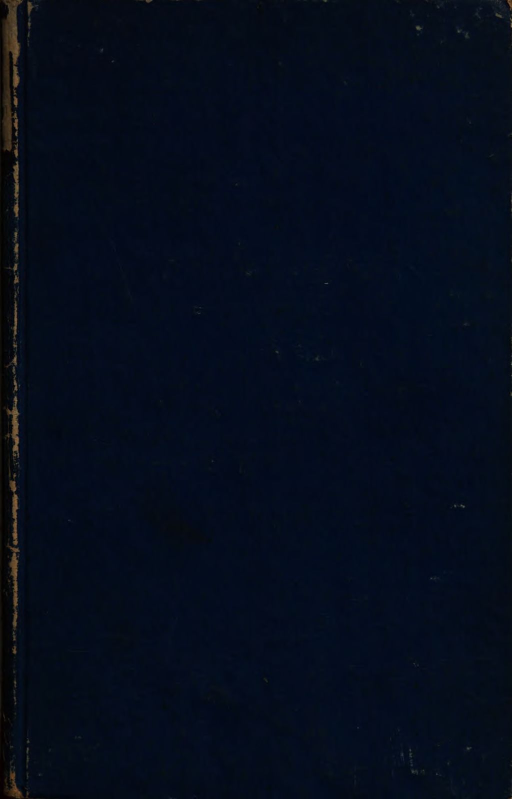 Cover of Irmin, seine Saule, seine Strasse und sein Wagen