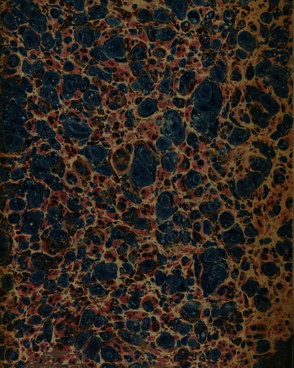 Cover of Babrii fabulae iambicae CXXIII